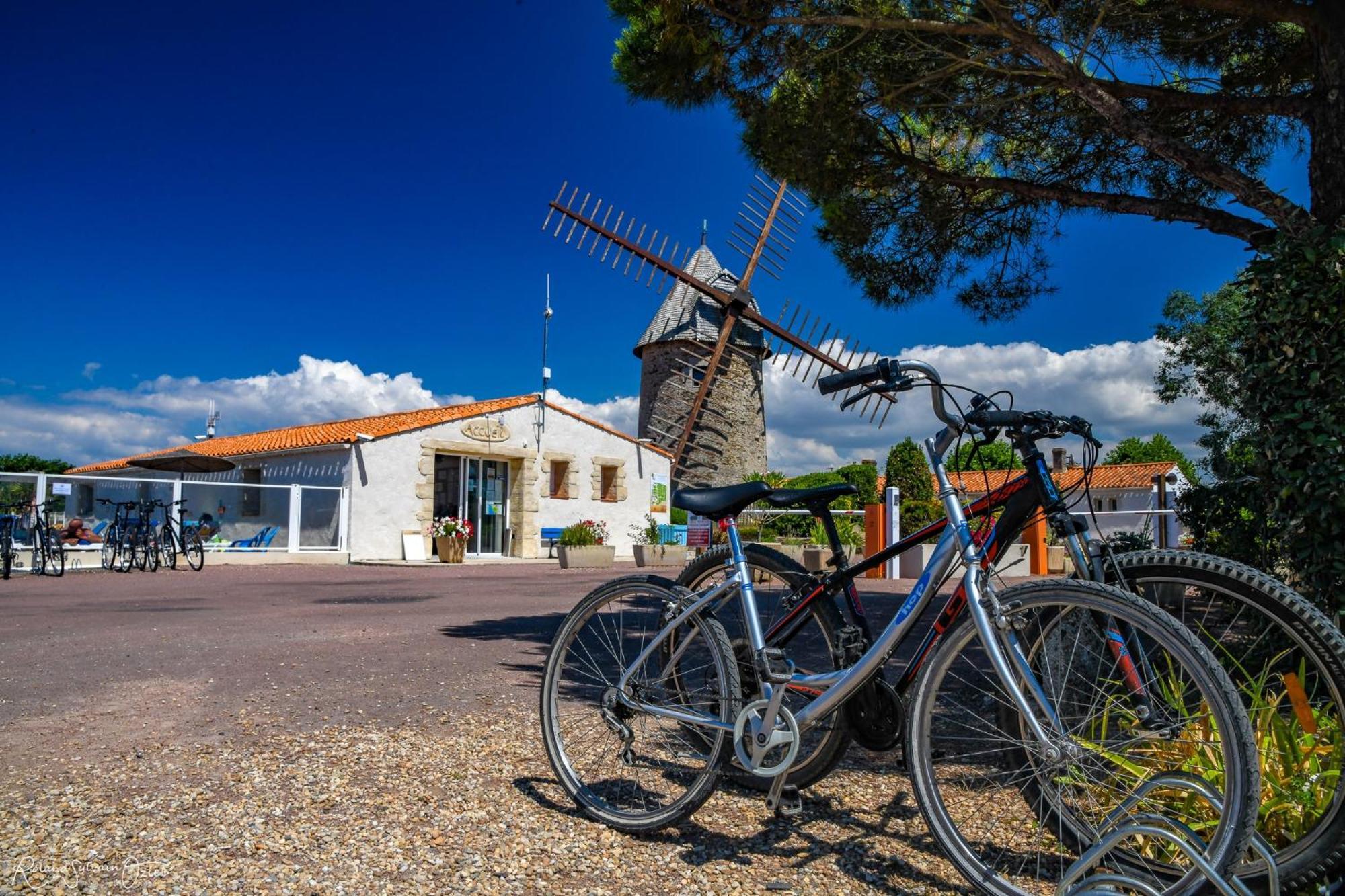 Camping Le Moulin De La Salle Les Sables-dʼOlonne Extérieur photo